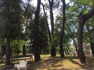 Гостевой дом Nikhouse Кобулети-7